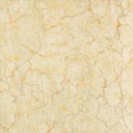 Gạch Trường Thịnh GENESIS SERIES CB88J122P